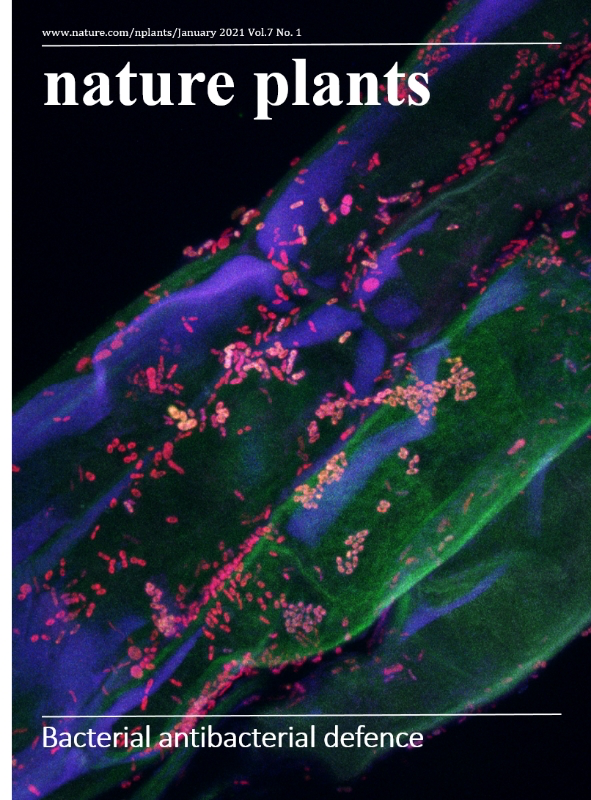 Cover Image 4