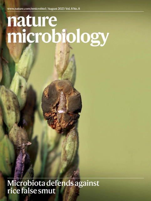 Cover Image 5