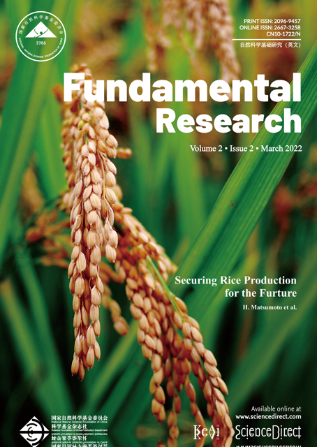 Cover Image 6