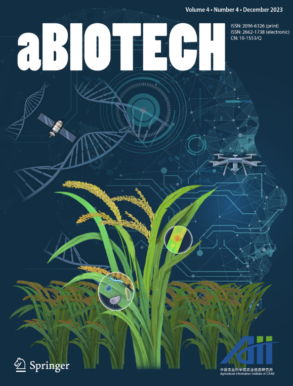 Cover Image 7